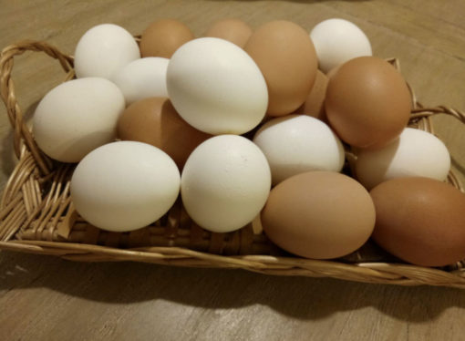 如何挑選好雞蛋（一）