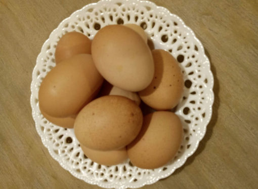 食用雞蛋的注意事項及相關科學研究（上）：如何判斷雞蛋新鮮度
